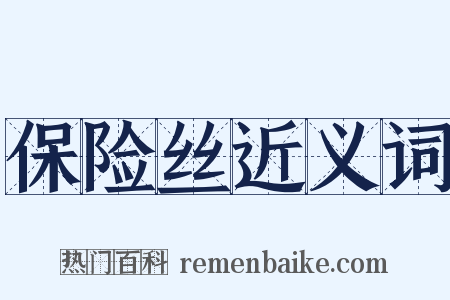 保险丝近义词是什么意思的图片